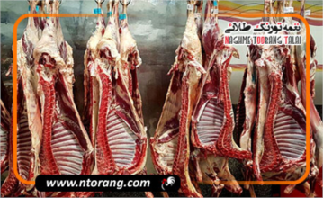 واردات گوشت گوسفند روسی با نرخ هر کیلو ۷۰۰ هزار تومان